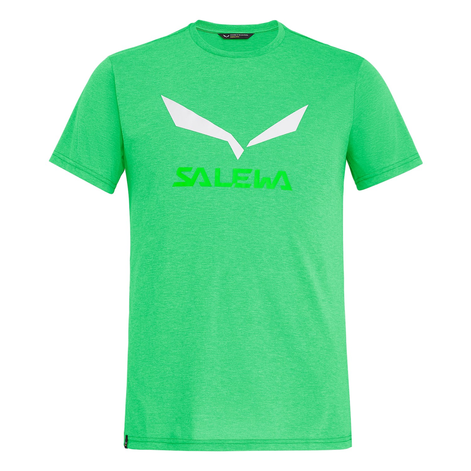 Salewa Solidlogo Drirelease® Erkek T-Shirts Yeşil Türkiye 972860HDI
